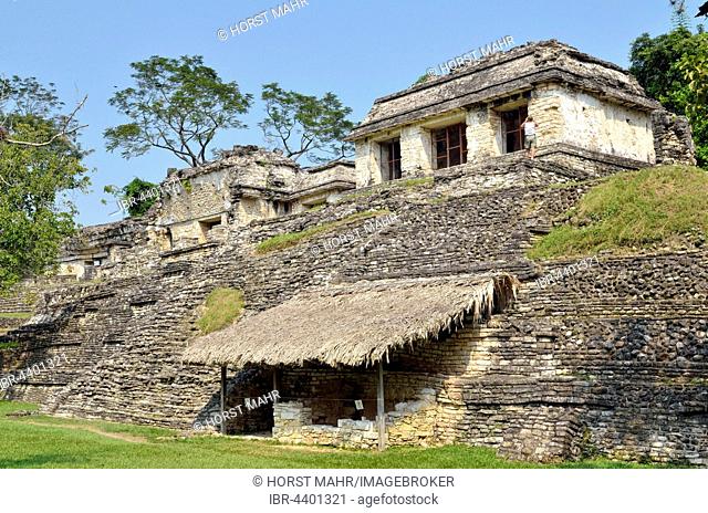 Temple of Grupo Norte, Mayan ruins of Palenque, Chiapas, Mexico