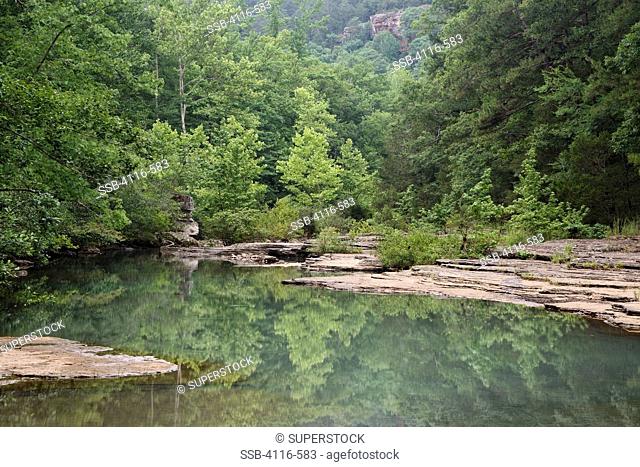 Stream flowing through a forest, Ozark National Forest, Arkansas, USA