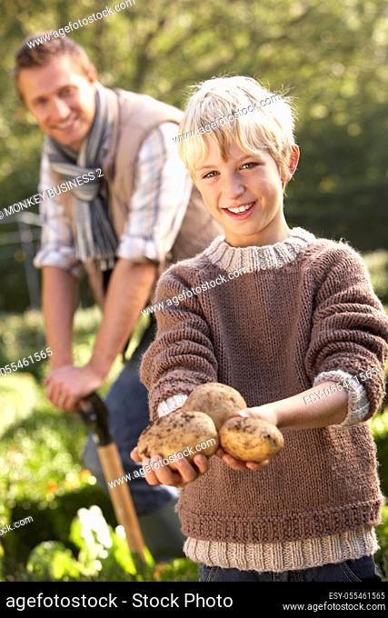 father, gardening, son, potato harvest