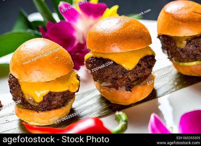 Close up shot of 3 sliders on a plate with cheese