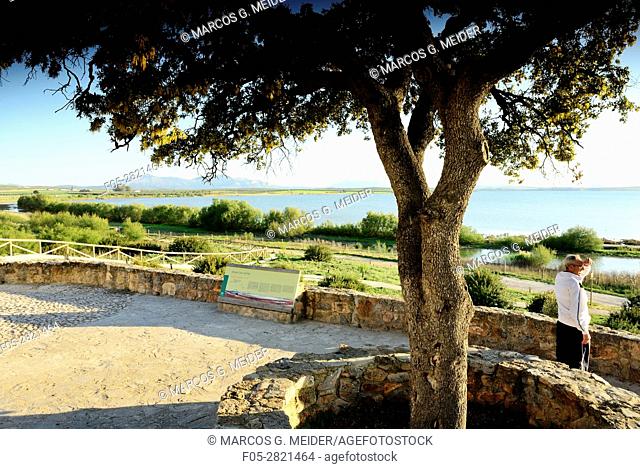 Fuente de Piedra Nature Reserve. View of the lagoon from the ""Cerro del Palo"". Malaga province, Andalucia, Spain