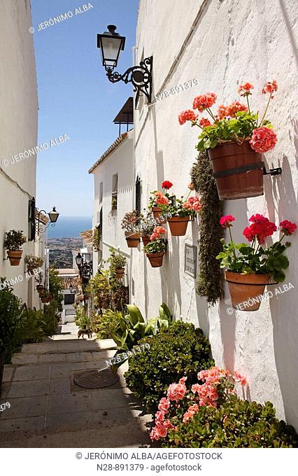 Street, Mijas, Pueblos Blancos ('white towns'), Costa del Sol, Malaga province, Andalusia, Spain