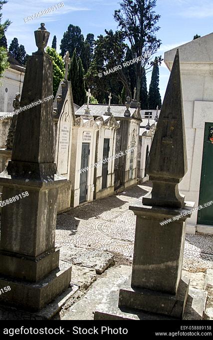 Close up view of a section from the famous portuguese cemetery Prazeres in Lisbon, Portugal