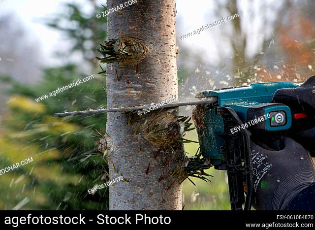 a man saws a tree trunk with a chainsaw and sees it flying