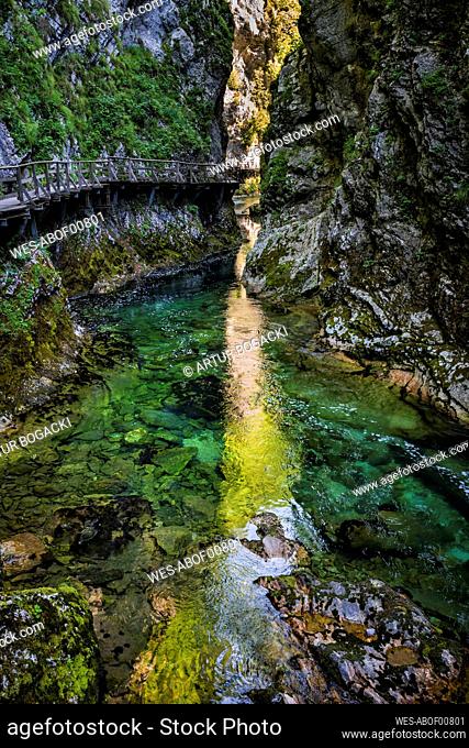 Slovenia, Radovna river flowing through Vintgar Gorge in Triglav National Park