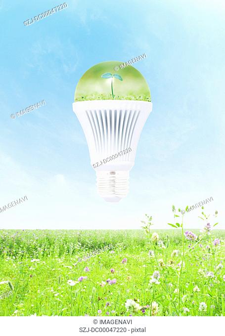 LED bulb and grassland
