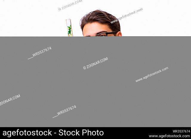 Scientist with green seedling in glass isolated on white