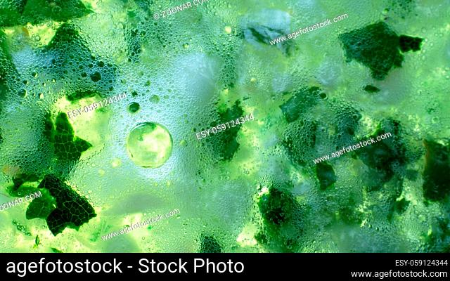 Color of life green background. Fermentation stimulating substances, fermented broth. Chlorophyll-rich object. High concentration of organic matter