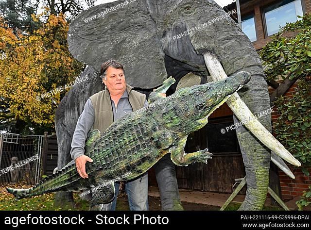 16 November 2022, Brandenburg, Trebus: Thomas Winkler, taxidermist, carries a replica of a Nile crocodile through his garden with an elephant made of fiberglass...
