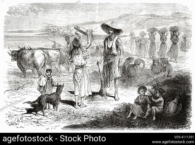 Harvesting and threshing corn, Kabylia. Northern Algeria, Africa. Excursion in Great Kabylia by Commander Emile Duhousset 1864 from Le Tour du Monde 1867