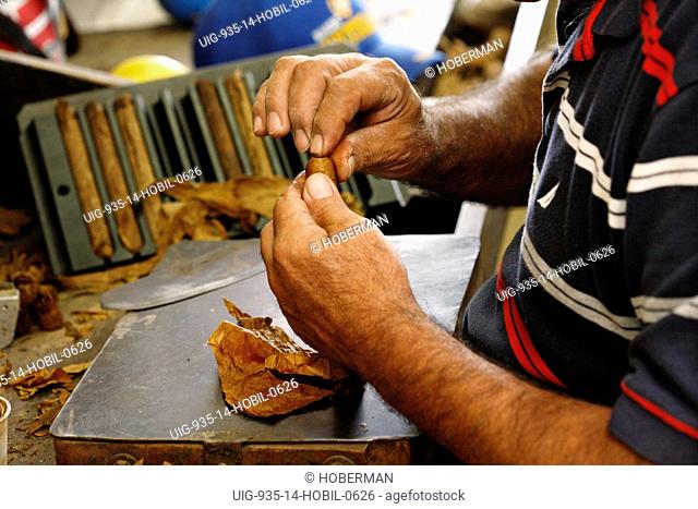 Rolling a Cigar, Cuban Crafters, Miami