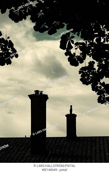 Silhouette of rooftop, chimney and tree of old house with dark, mysterious and moody setting