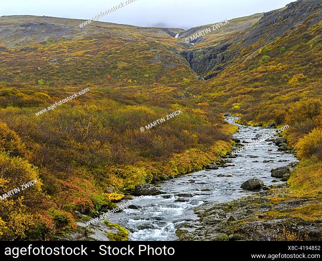 Sunndalur in Trostansfjoerdur. The Westfjords (Vestfirdir) in Iceland during autumn. Europe, Northern Europe, Iceland