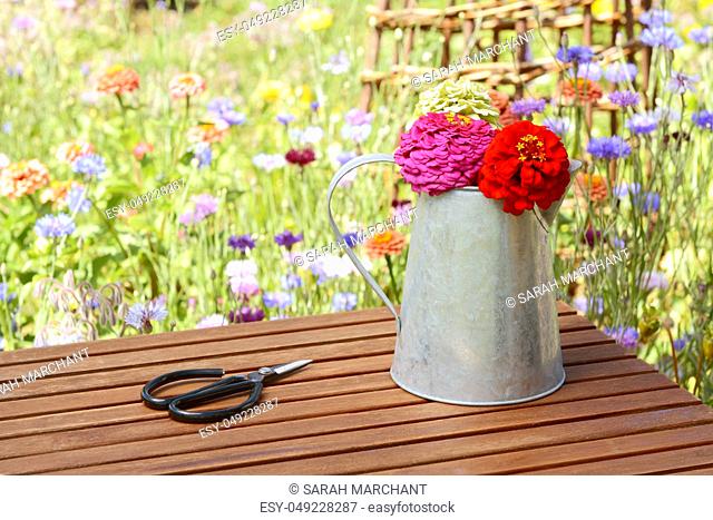 Florist scissors lie next to a rustic metal jug holding freshly cut zinnia blooms in a summer flower garden
