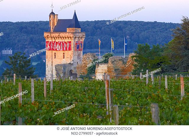 Chinon, Castle, Château de Chinon, Chinon Castle at Dawn, Indre-et-Loire, Pays de la Loire, Loire Valley, UNESCO World Heritage Site, France