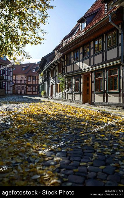 Germany, Saxony-Anhalt, Wernigerode, Half-timbered townhouses along cobblestone street