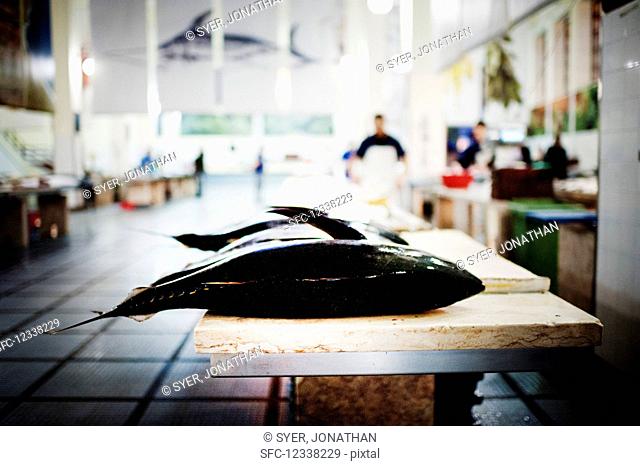 Fresh tuna fish on the fish market (Funchal, Madeira)