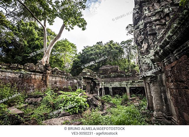 Jungle growing over Preah Khan temple, Angkor Complex (Siem Reap Province, Cambodia)