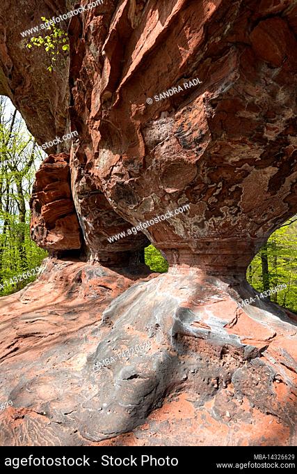 Pea rock, massif of red sandstone, deciduous forest in spring green, France, Lorraine, Département Moselle, Bitcherland, Regional Park Northern Vosges