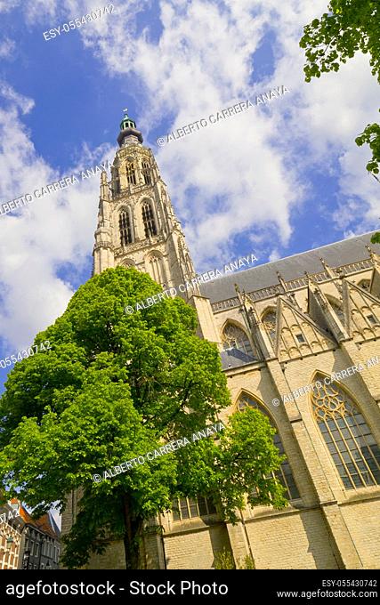 Grote Kerk, Church of Our Lady, Brabantine Gothic Style, Breda, Noord-Brabant Province, Holland, Netherlands, Europe