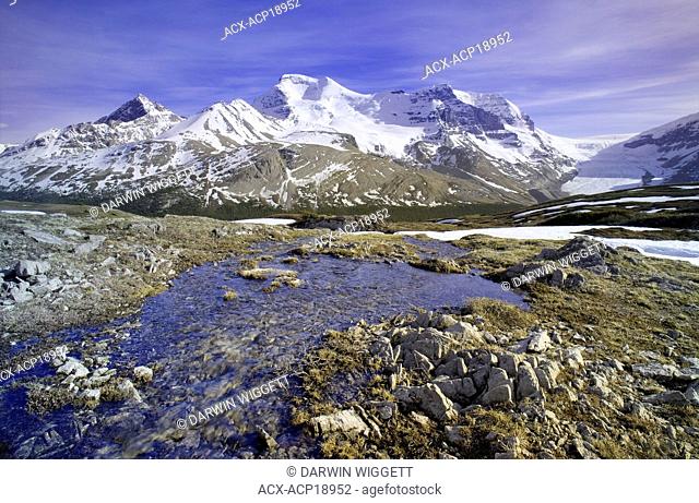 Hilda Peak and Mount Athabasca with Wilcox Pass, Columbia Icefields, Jasper National Park, Alberta, Canada