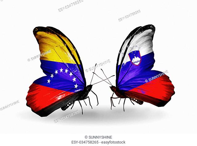Two butterflies with flags on wings as symbol of relations Venezuela and Slovenia