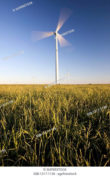 Wind turbine in a field, Texas, USA
