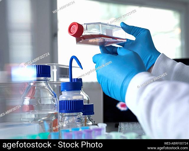 Pharmaceutical research into infectious disease and pandemics, Scientist viewing cells in a jar during a clinical trial