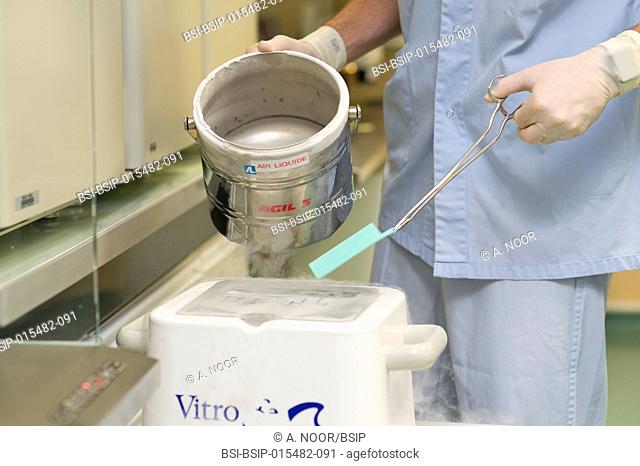 Reportage in the reproductive biology service in Nice hospital, France. In the ART (assisted reproductive technology) lab. Embryonic vitrification