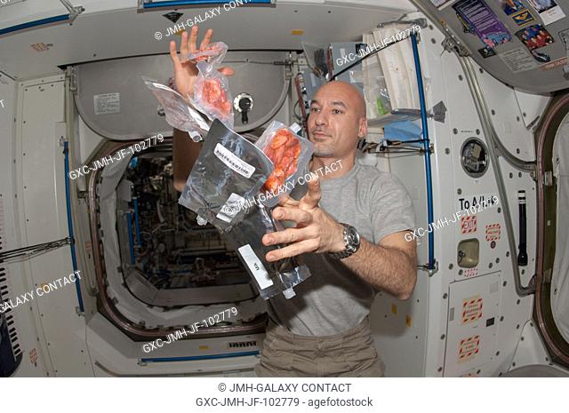 European Space Agency astronaut Luca Parmitano, Expedition 36 flight engineer, is pictured near food packages floating freely in the Unity node of the...