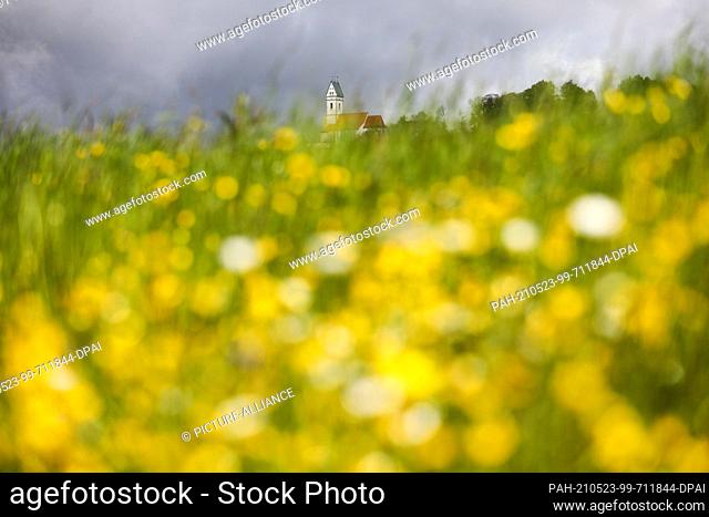dpatop - 23 May 2021, Baden-Wuerttemberg, Uttenweiler-Offingen: View on Whitsunday through a blooming flower meadow to the pilgrimage church St