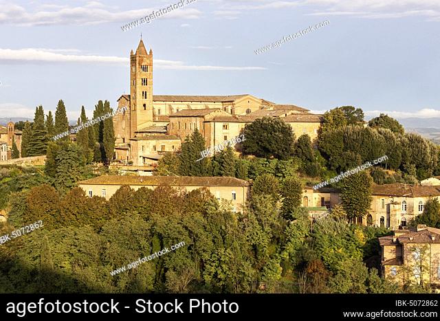 Basilica di San Clemente in Santa Maria dei Servi, Siena, Tuscany, Italy, Europe