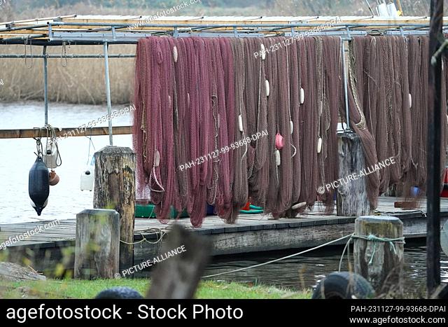27 November 2023, Schleswig-Holstein, Lübeck: Nets hang from a jetty in the small fishing village of Gothmund on the River Trave