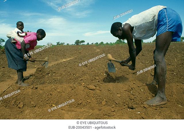 Single child family working in the field