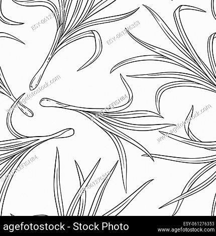 lemongrass plant seamless pattern on white background