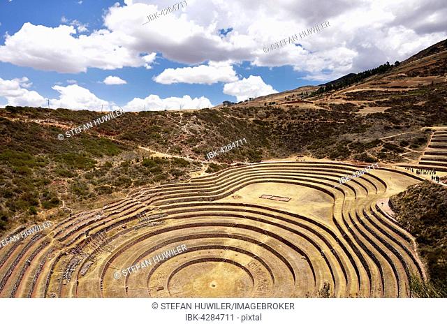 Inca terraces in the Sacred Valley, agriculture, Moray, Ollantaytambo, Peru