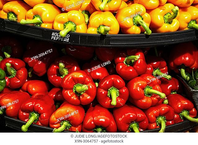 Yellow and Red Peppers Shown on a Semi-Circular Display. Seen at a Gourmet Manhattan, New York City, Food Store