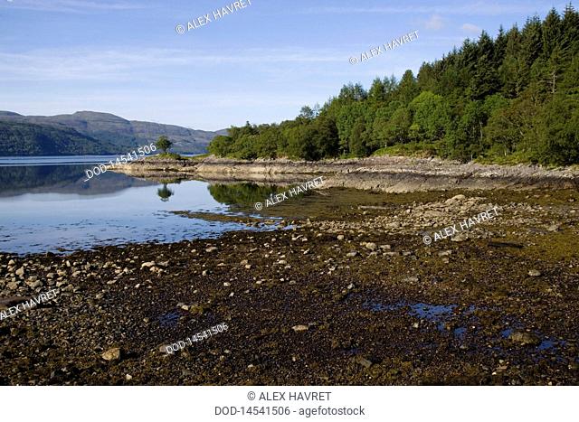 Scotland, Ardnamurchan, Glenborrodale, Loch Sunart, rocky shore, trees and mountains