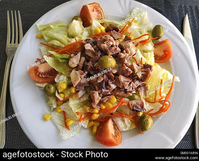 Salad with vegetables and cuttlefish