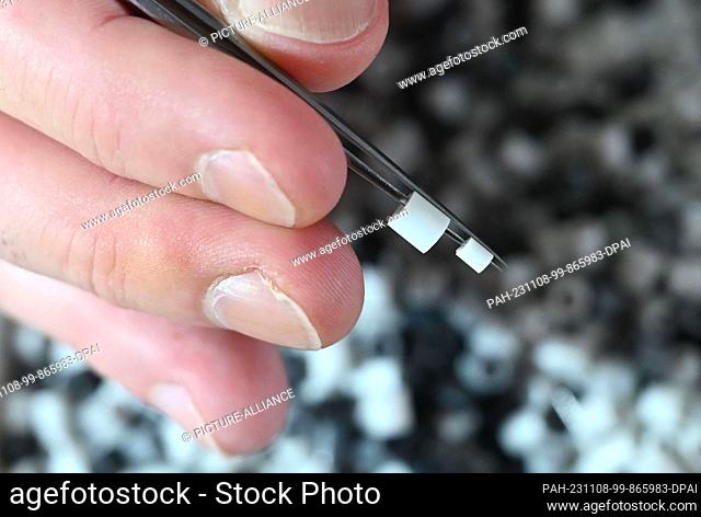 PRODUCTION - 07 November 2023, Baden-Württemberg, Pforzheim: Oliver Lemke shows iron-on beads with a diameter of 2.6 millimeters and with a diameter of 5...