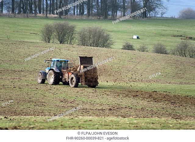 Tractor with muck spreader, spreading farmyard manure on field, Skaidburn, Lancashire, England, winter