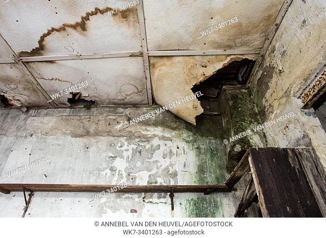Damaged ceiling from water leak in old abandoned house close-up