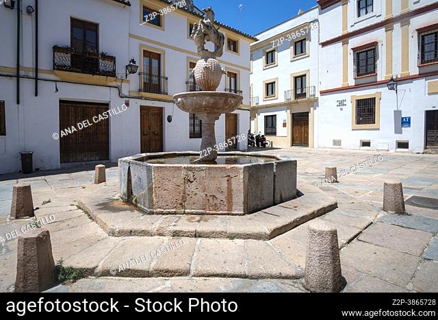 Cordoba Andalusia Spain fountain at Plaza del potro square