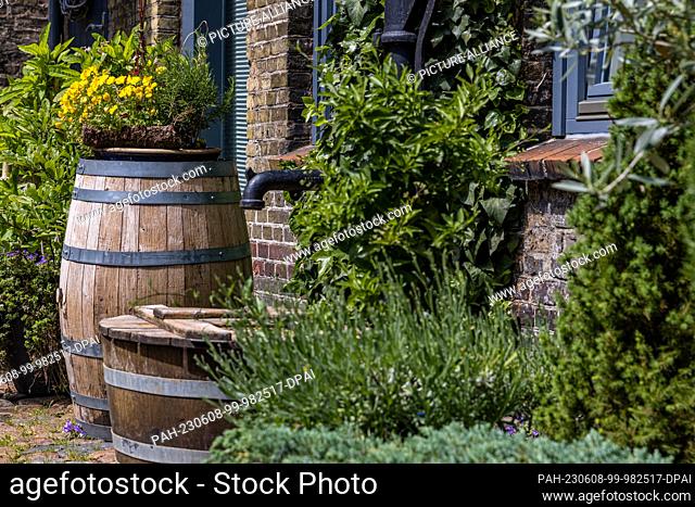 07 June 2023, Schleswig-Holstein, Flensburg: A barrel formerly used for aging rum stands for decorative purposes in a backyard in Flensburg's northern Old Town