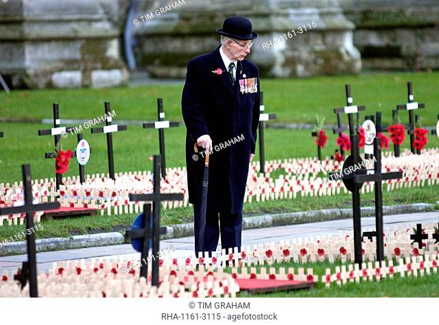 A war veteran touring the Field of Remembrance at St Margaret's Church in Westminster, London