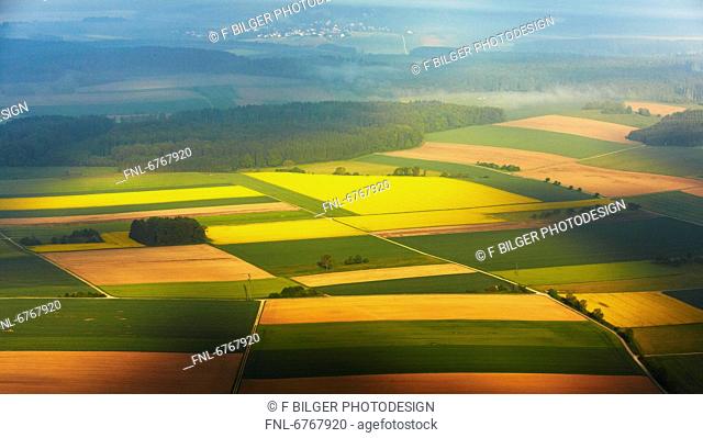 Different fields in the morning, aerial photo