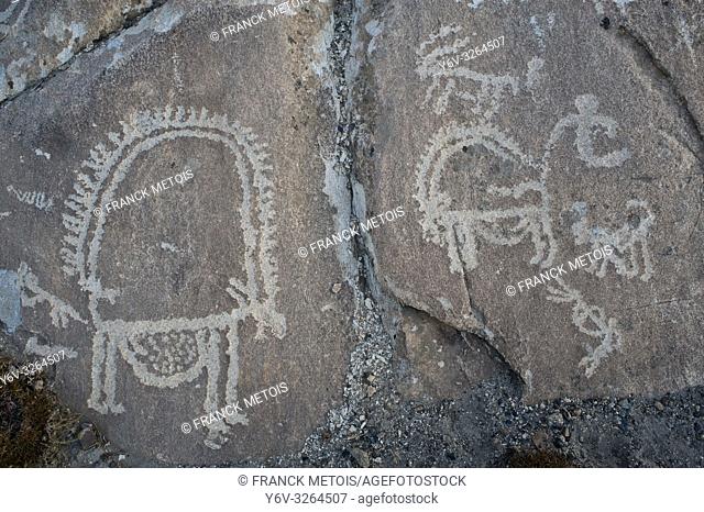 Petroglyphs at Langar ( Wakhan valley, Tajikistan). They are representing ibexes