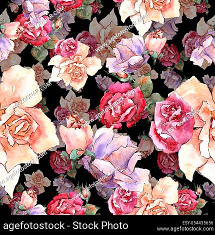 Colorful roses. Floral botanical flower.Seamless background pattern. Fabric wallpaper print texture. Aquarelle wildflower for background, texture
