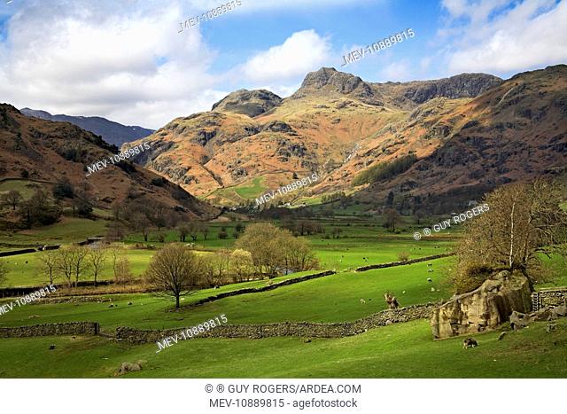 Langdale Pikes in autumn sunshine. Lake District - England