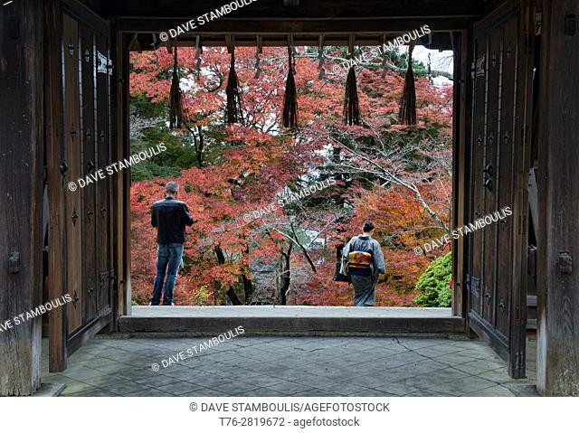 Looking out at fall, Bishumondo Temple, Kyoto, Japan